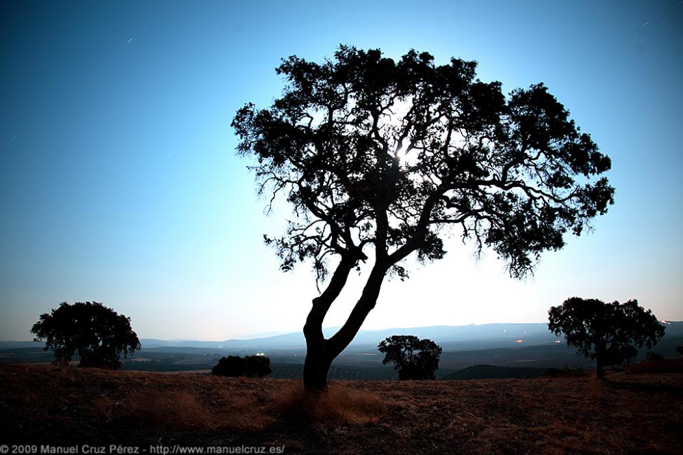 Imagen 8 de la galería de paisaje